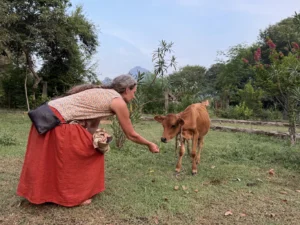 3. Caring for the animals at the site of our new satsang hall - nurturing and connection, both to nature and community.