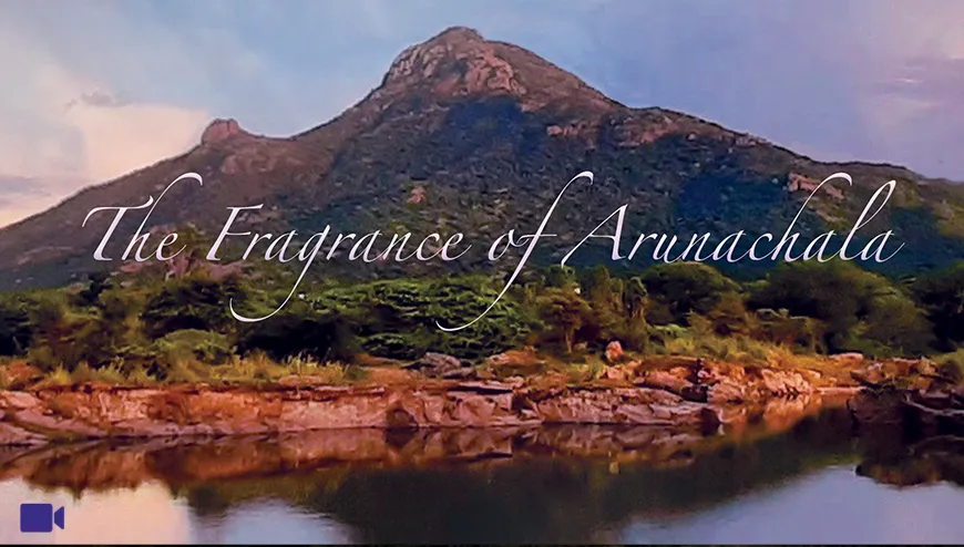 Ganga Maa The Fragrance Of Arunachala